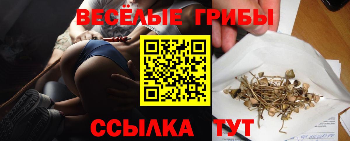 Галлюциногенные грибы мицелий Донецк
